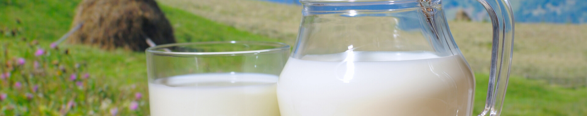 Apna Sambhal Milk Dairy List