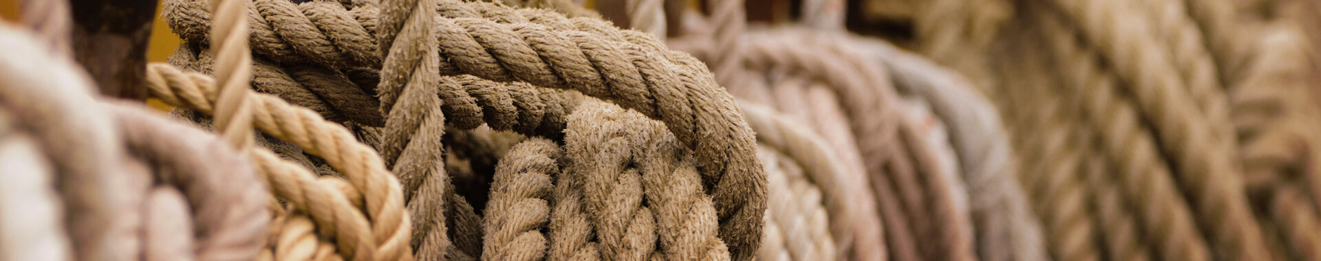 Apna Sambhal Rope Manufacturers List